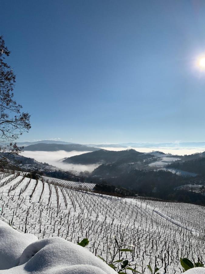 Cascina Bertolotto Wine Resort Spigno Monferrato Exterior foto